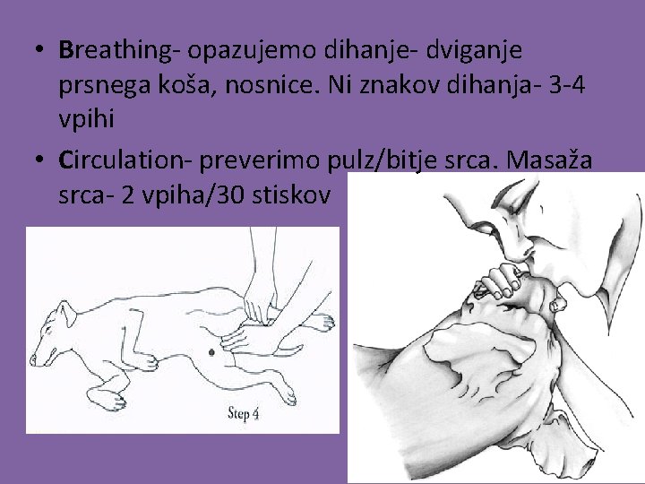  • Breathing- opazujemo dihanje- dviganje prsnega koša, nosnice. Ni znakov dihanja- 3 -4