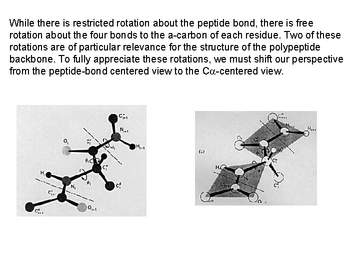 Introduction to Biophysics Lecture 5 Proteins Structure Proteins