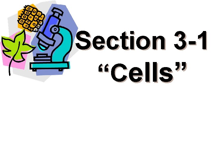 Section 3 -1 “Cells” 