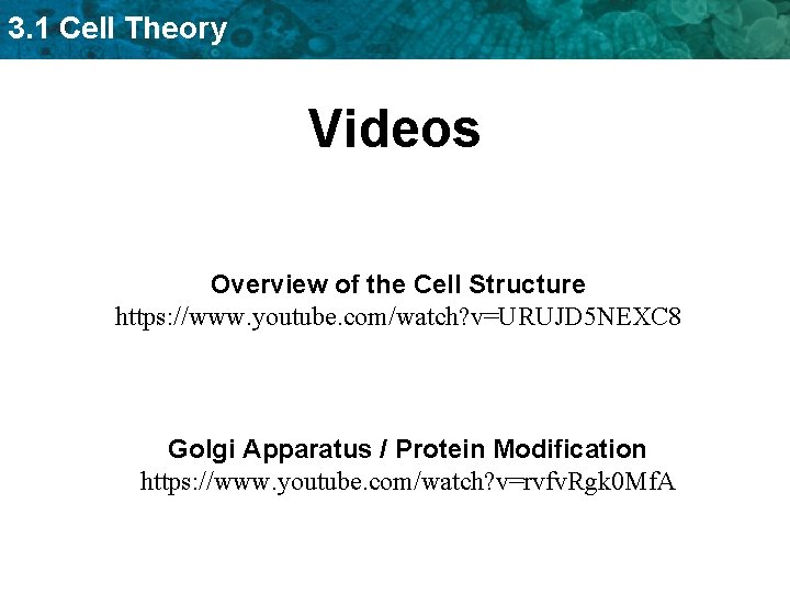 3. 1 Cell Theory Videos Overview of the Cell Structure https: //www. youtube. com/watch?