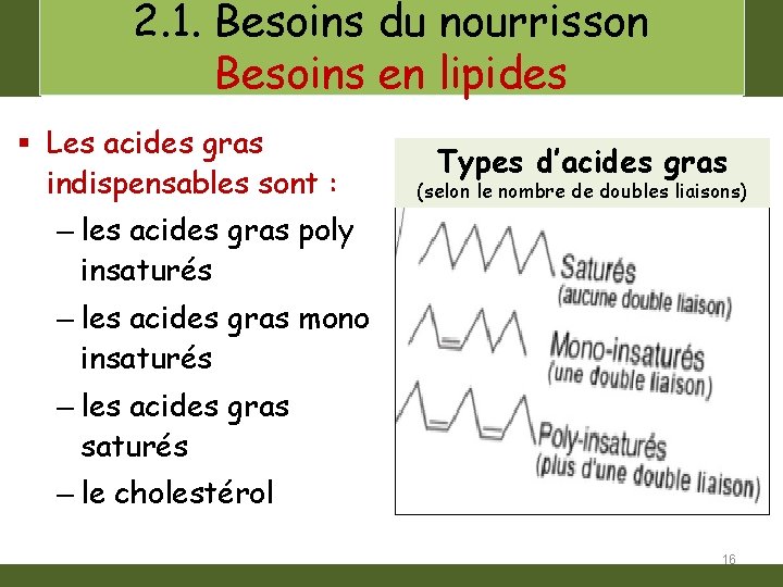 2. 1. Besoins du nourrisson Besoins en lipides § Les acides gras indispensables sont