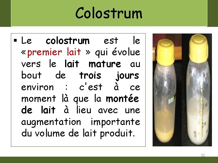 Colostrum § Le colostrum est le «premier lait » qui évolue vers le lait