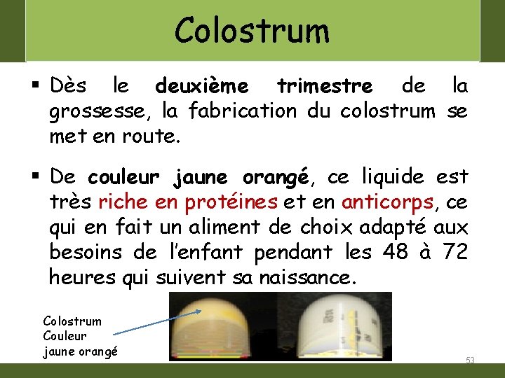 Colostrum § Dès le deuxième trimestre de la grossesse, la fabrication du colostrum se