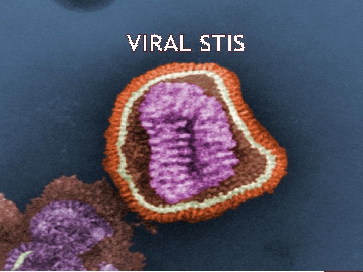 VIRAL STIS 