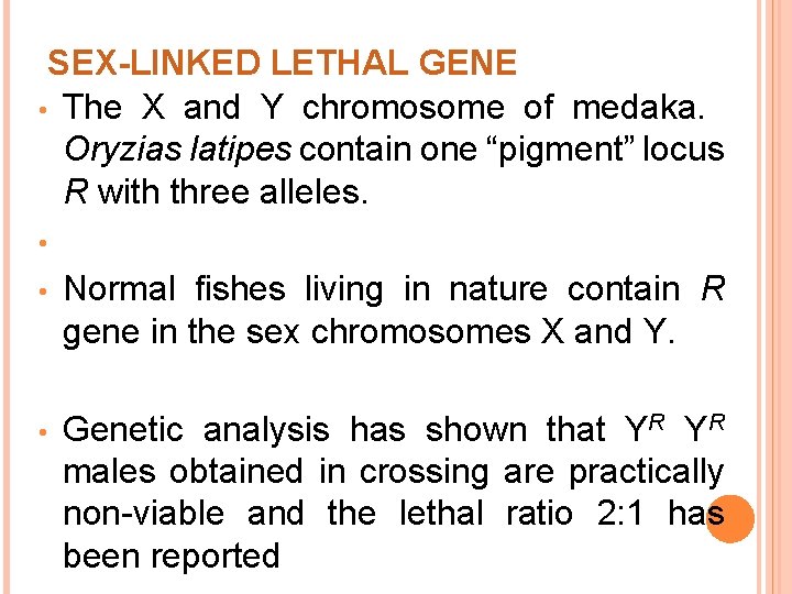 SEX-LINKED LETHAL GENE • The X and Y chromosome of medaka. Oryzias latipes contain