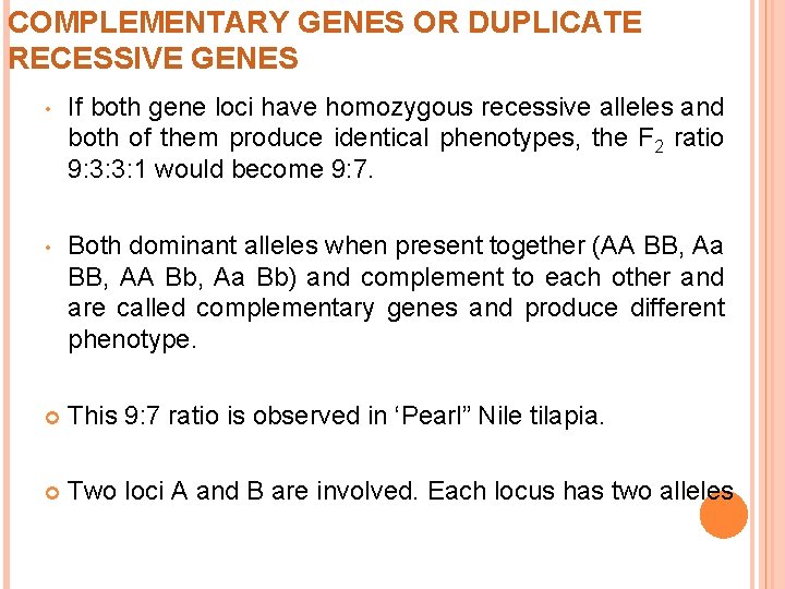 COMPLEMENTARY GENES OR DUPLICATE RECESSIVE GENES • If both gene loci have homozygous recessive