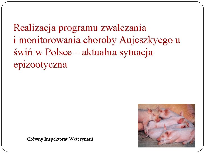 Realizacja programu zwalczania i monitorowania choroby Aujeszkyego u świń w Polsce – aktualna sytuacja
