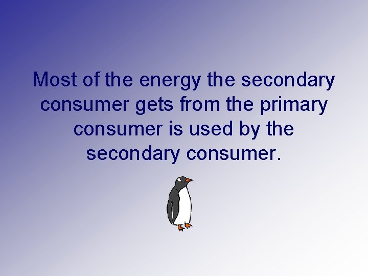 Most of the energy the secondary consumer gets from the primary consumer is used