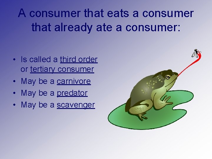 A consumer that eats a consumer that already ate a consumer: • Is called