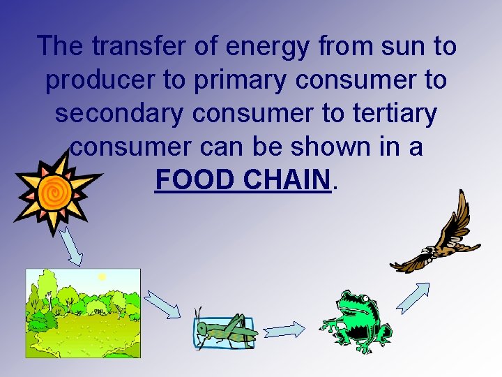 The transfer of energy from sun to producer to primary consumer to secondary consumer