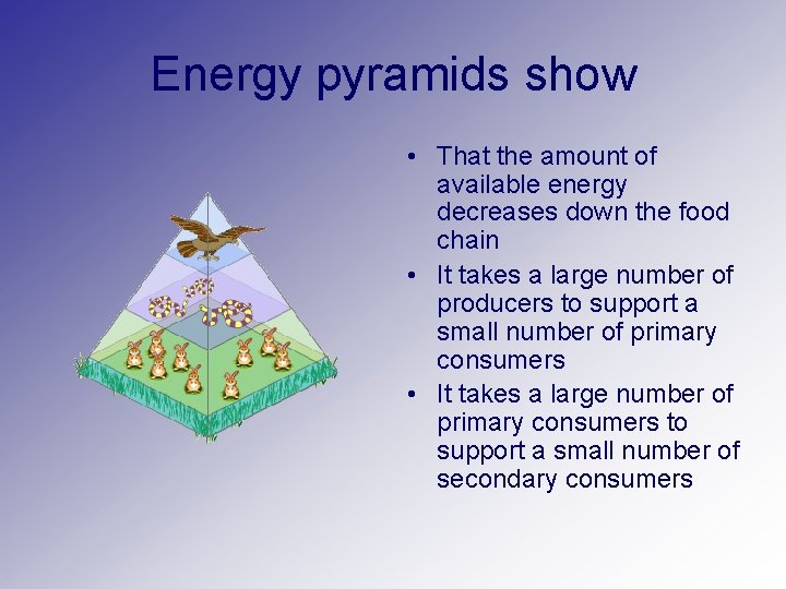 Energy pyramids show • That the amount of available energy decreases down the food