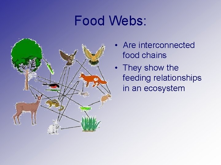 Food Webs: • Are interconnected food chains • They show the feeding relationships in