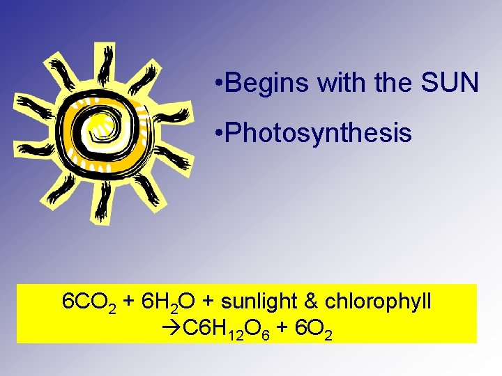  • Begins with the SUN • Photosynthesis 6 CO 2 + 6 H