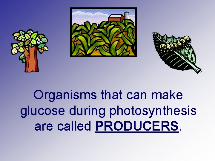 Organisms that can make glucose during photosynthesis are called PRODUCERS. 