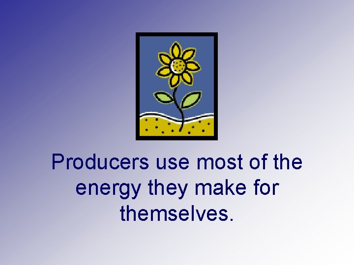 Producers use most of the energy they make for themselves. 