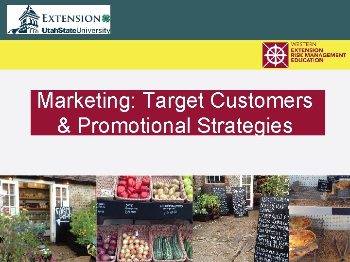 Marketing: Target Customers & Promotional Strategies 