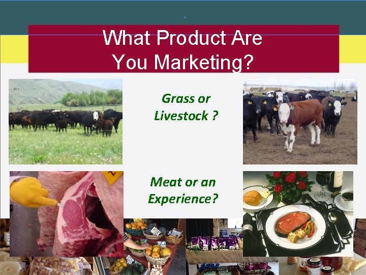 What Product Are You Marketing? Grass or Livestock ? Meat or an Experience? 