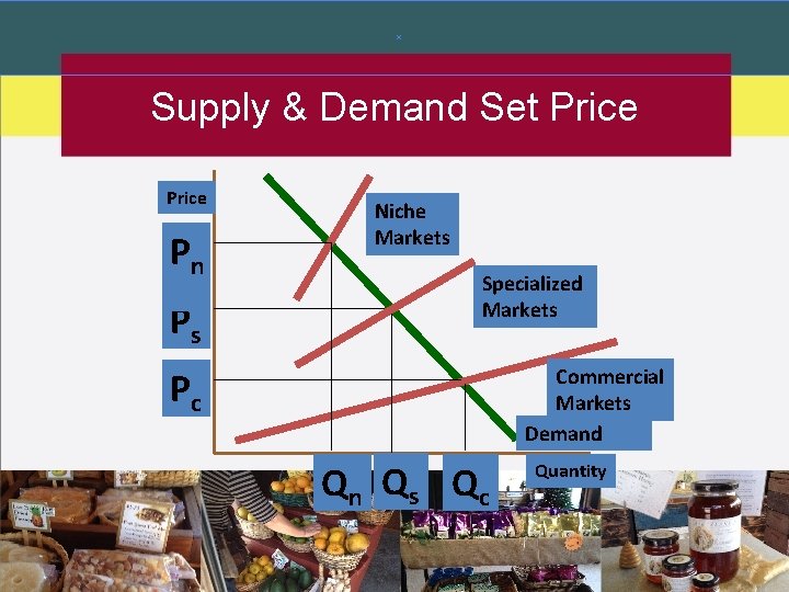 Supply & Demand Set Price Pn Ps Niche Markets Specialized Markets Commercial Markets Demand