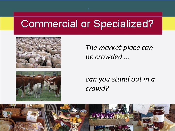 Commercial or Specialized? The market place can be crowded … can you stand out