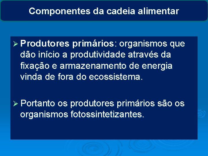 Componentes da cadeia alimentar Ø Produtores primários: organismos que dão início a produtividade através