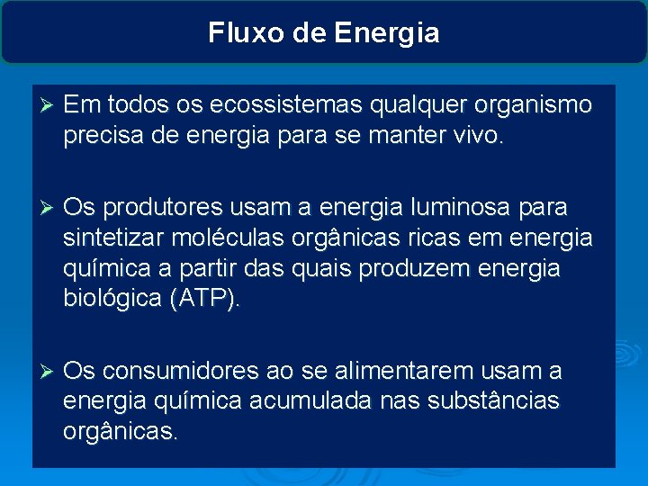 Fluxo de Energia Ø Em todos os ecossistemas qualquer organismo precisa de energia para