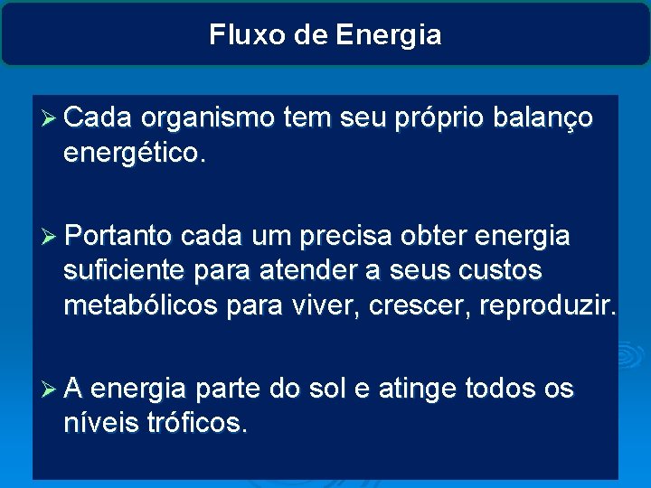 Fluxo de Energia Ø Cada organismo tem seu próprio balanço energético. Ø Portanto cada