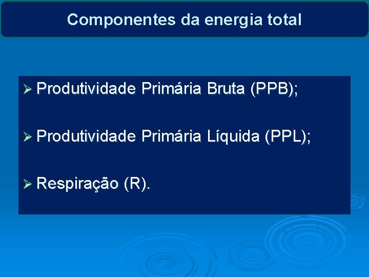 Componentes da energia total Ø Produtividade Primária Bruta (PPB); Ø Produtividade Primária Líquida (PPL);