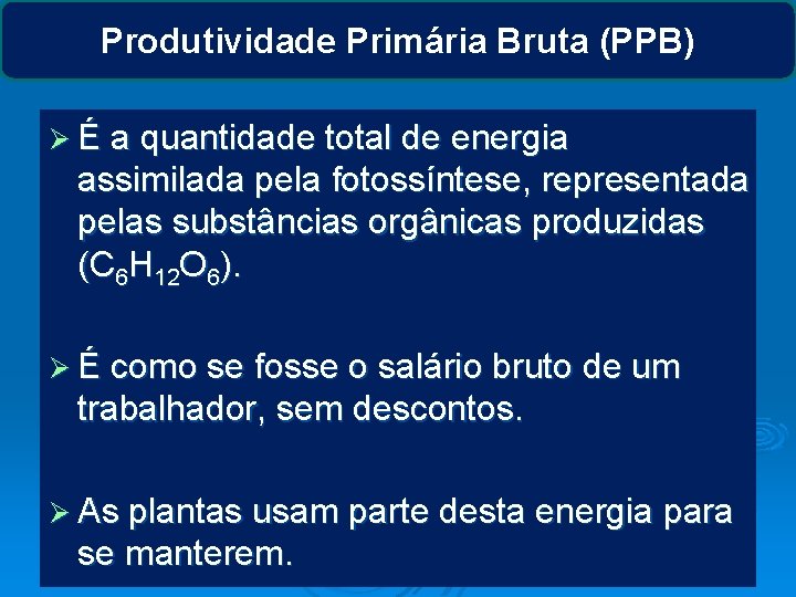 Produtividade Primária Bruta (PPB) Ø É a quantidade total de energia assimilada pela fotossíntese,