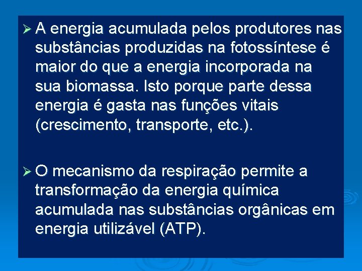 Ø A energia acumulada pelos produtores nas substâncias produzidas na fotossíntese é maior do