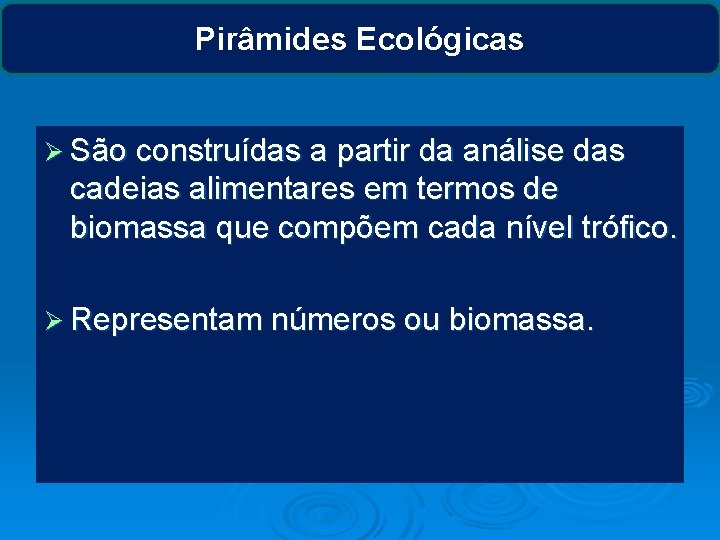 Pirâmides Ecológicas Ø São construídas a partir da análise das cadeias alimentares em termos