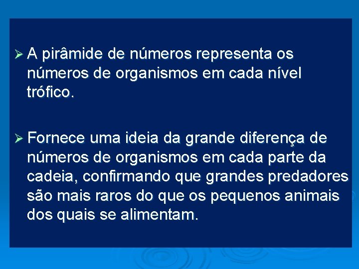 Ø A pirâmide de números representa os números de organismos em cada nível trófico.