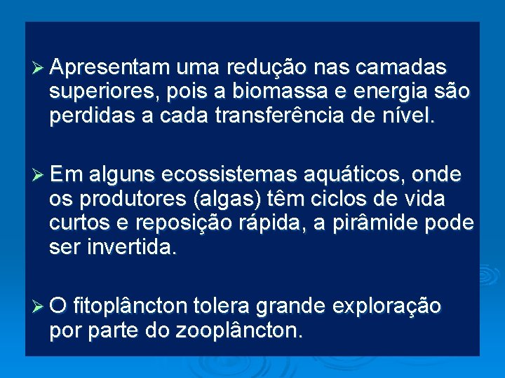 Ø Apresentam uma redução nas camadas superiores, pois a biomassa e energia são perdidas
