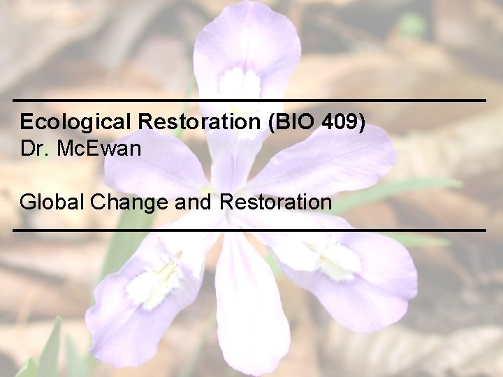 Ecological Restoration (BIO 409) Dr. Mc. Ewan Global Change and Restoration 