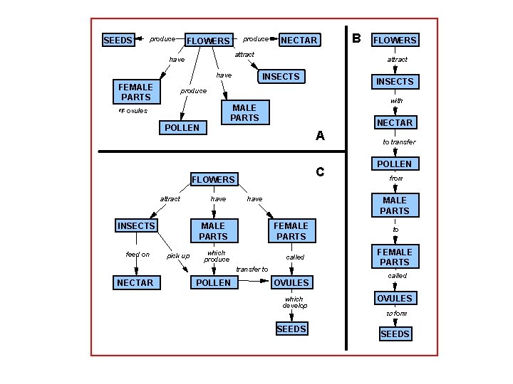 SEEDS produce FLOWERS attract have FEMALE PARTS NECTAR INSECTS with NECTAR POLLEN A C