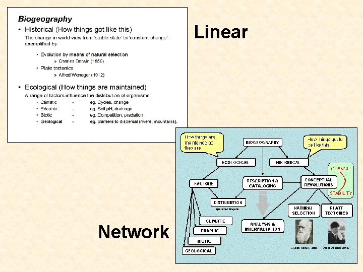 Linear Network 