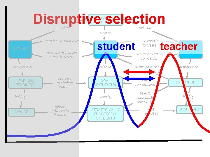 Disruptive selection CONCEPTUAL FRAMEWORKS exist as can be elaborated as SPOKES CHAINS may collapse