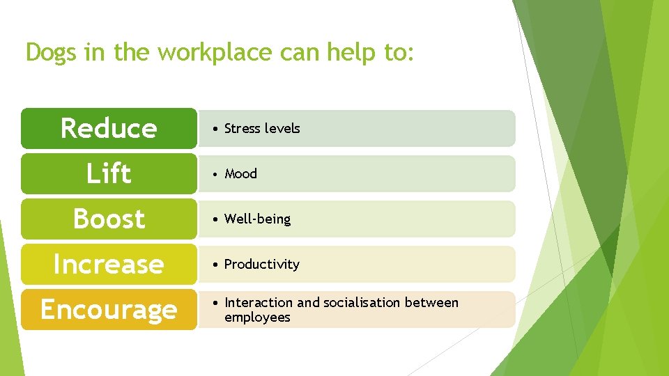 Dogs in the workplace can help to: Reduce Lift Boost Increase Encourage • Stress
