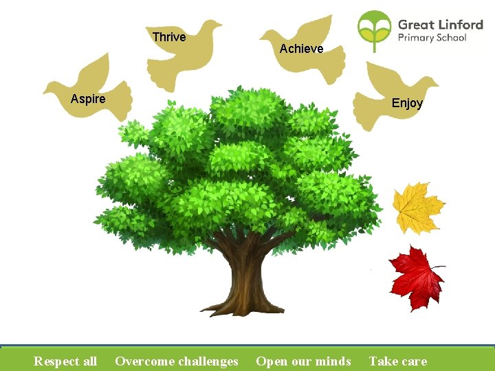 Thrive Achieve Aspire Respect all Enjoy Overcome challenges Open our minds Take care 