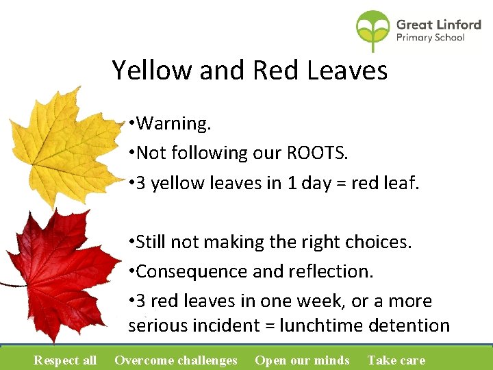 Yellow and Red Leaves • Warning. • Not following our ROOTS. • 3 yellow