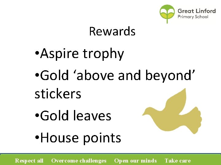 Rewards • Aspire trophy • Gold ‘above and beyond’ stickers • Gold leaves •