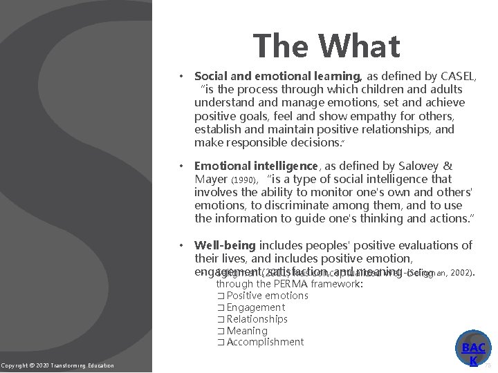 The What • Social and emotional learning, as defined by CASEL, “is the process