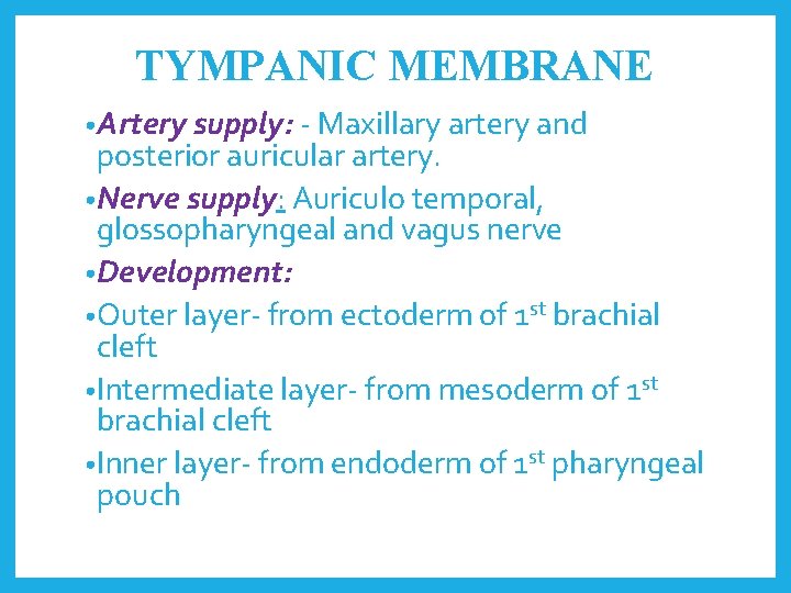 TYMPANIC MEMBRANE • Artery supply: - Maxillary artery and posterior auricular artery. • Nerve