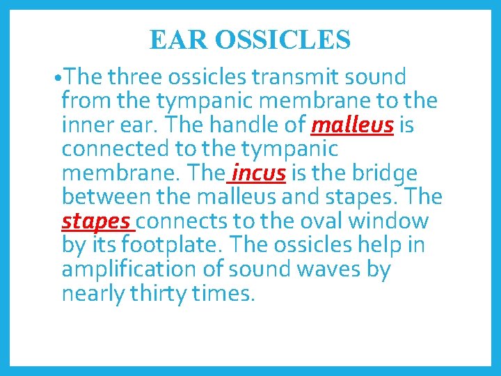 EAR OSSICLES • The three ossicles transmit sound from the tympanic membrane to the