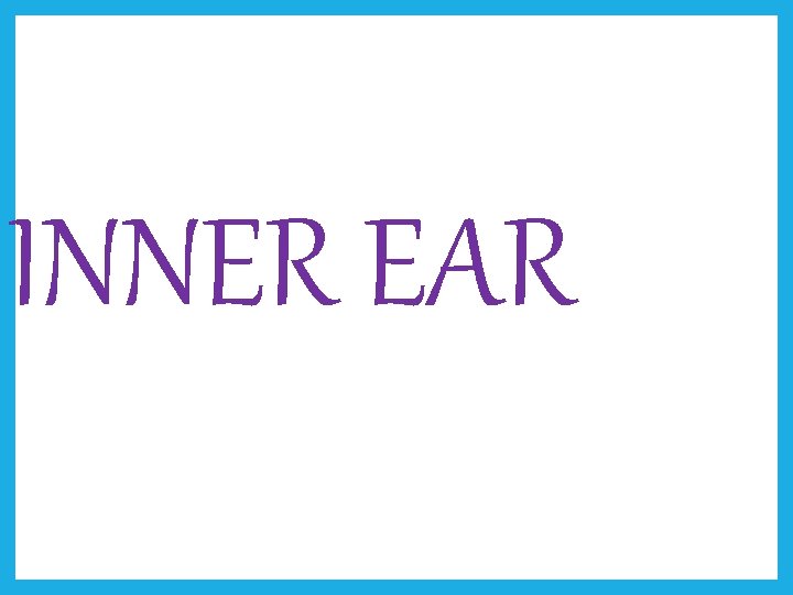 INNER EAR 