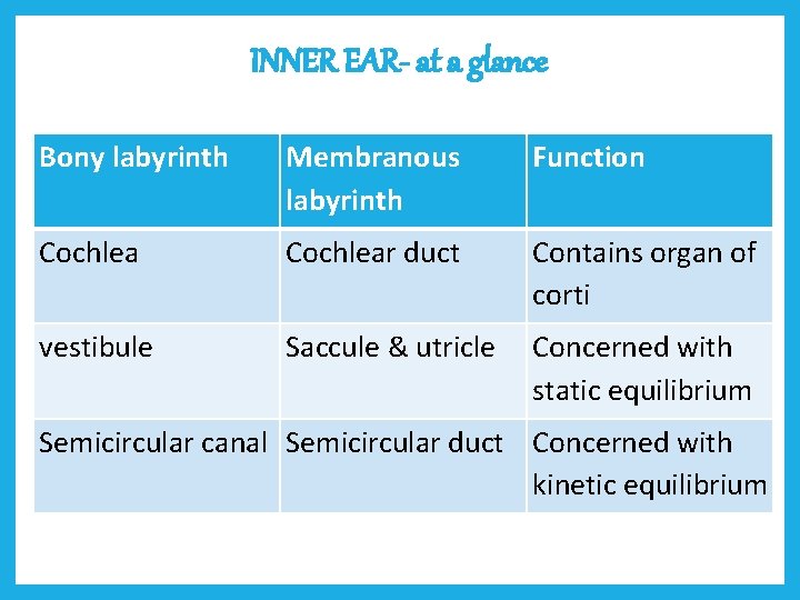 INNER EAR- at a glance Bony labyrinth Membranous labyrinth Function Cochlear duct Contains organ