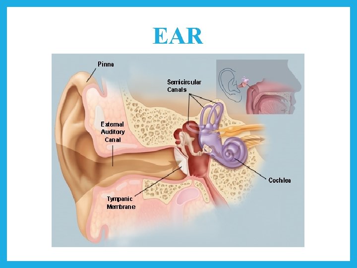 EAR 
