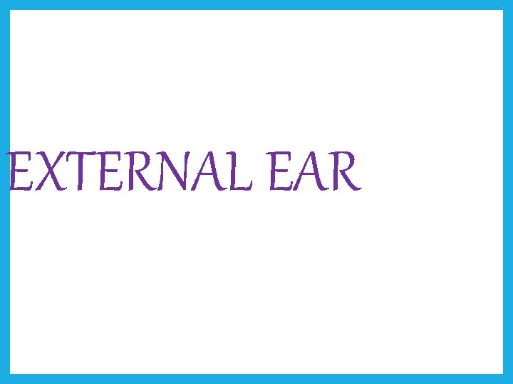 EXTERNAL EAR 