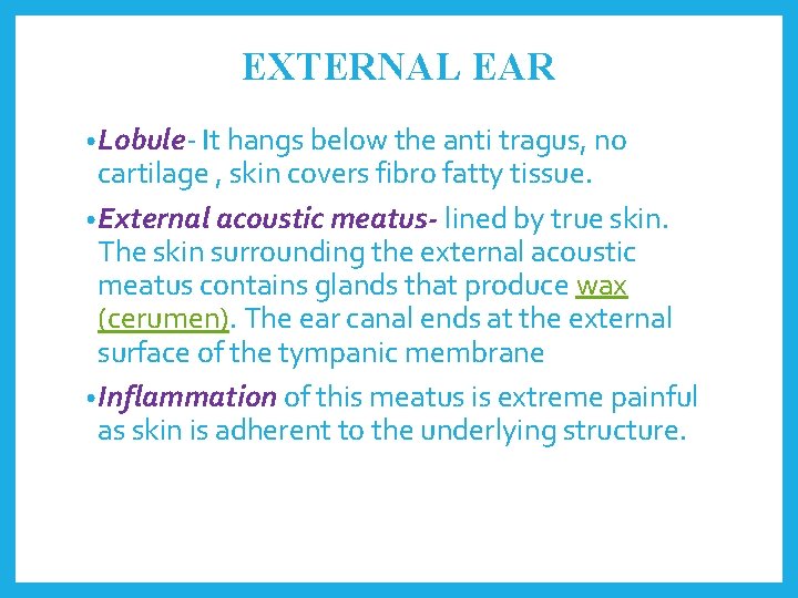 EXTERNAL EAR • Lobule- It hangs below the anti tragus, no cartilage , skin