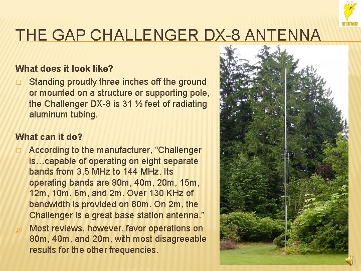 THE GAP CHALLENGER DX-8 ANTENNA What does it look like? � Standing proudly three