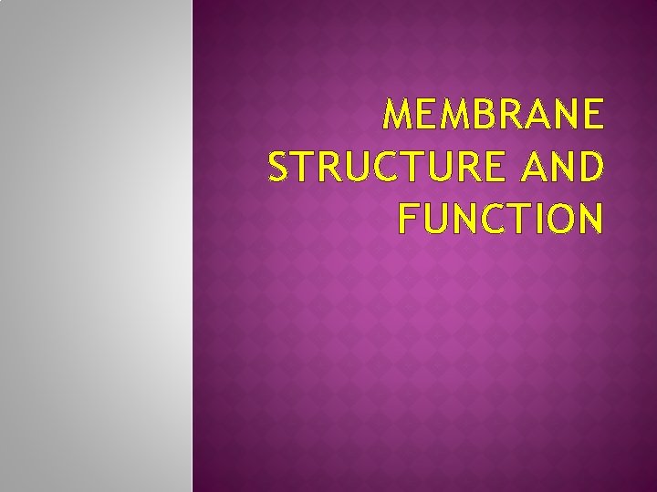 MEMBRANE STRUCTURE AND FUNCTION 